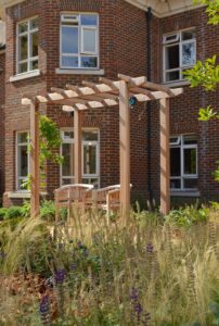 Soft planting comprises ornamental grasses such as Stipa tenuissima and purple flowering Salvia 'Caradonna'.